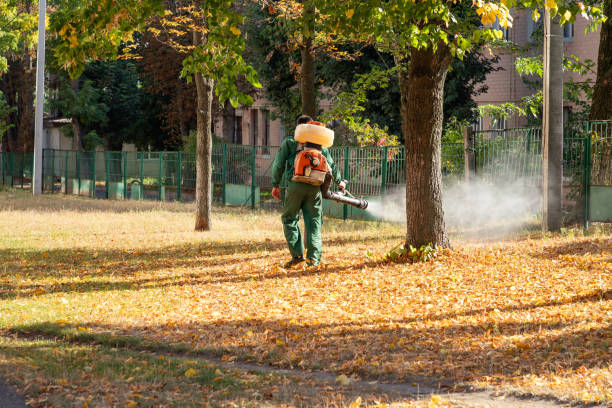 Best Pest Removal Services  in Franklin, LA
