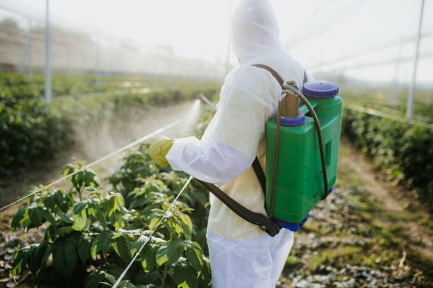 Best Wildlife Control Services  in Franklin, LA